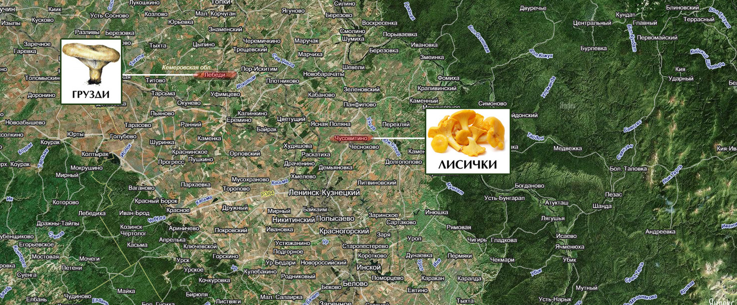 Карта Ленинска-кузнецкого Со Спутника